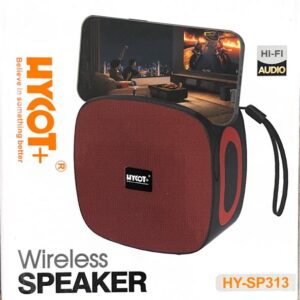 SP 313 wireles Speaker
