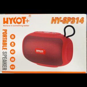SP314 Wireles speaker